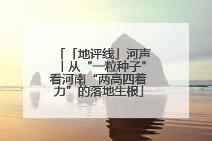 「地评线」河声丨从“一粒种子”看河南“两高四着力”的落地生根
