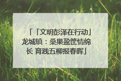「文明彭泽在行动」龙城镇：桑果盈筐情绵长 育践五柳报春晖