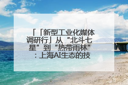 「新型工业化媒体调研行」从“北斗七星”到“热带雨林”：上海AI生态的技术商业共生密码