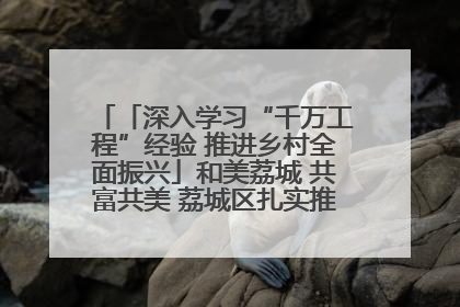 「深入学习“千万工程”经验 推进乡村全面振兴」和美荔城 共富共美 荔城区扎实推进乡村振兴工作