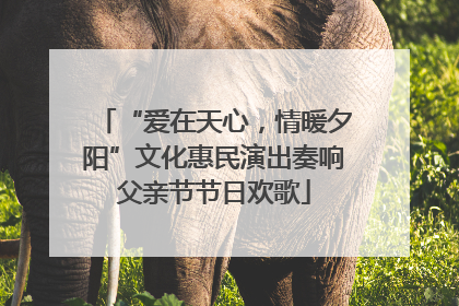 “爱在天心，情暖夕阳”文化惠民演出奏响父亲节节日欢歌
