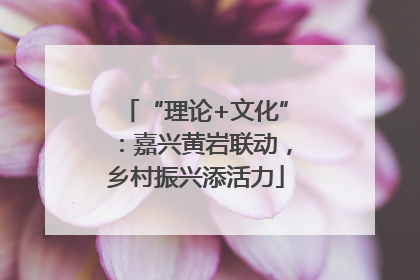 “理论+文化”：嘉兴黄岩联动，乡村振兴添活力