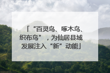 “百灵鸟、啄木鸟、织布鸟”，为仙居县域发展注入“新”动能
