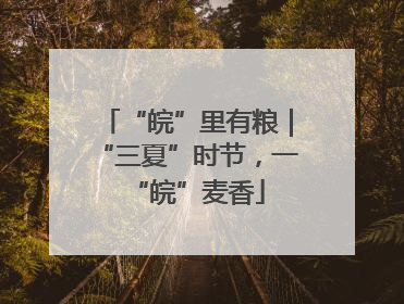 “皖”里有粮｜“三夏”时节，一“皖”麦香