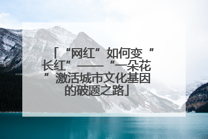 “网红”如何变“长红”——“一朵花”激活城市文化基因的破题之路