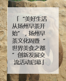 “美好生活从扬州早茶开始”，扬州早茶文化周暨“世界美食之都”创新发展交流活动启幕