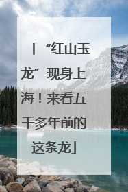 “红山玉龙”现身上海！来看五千多年前的这条龙