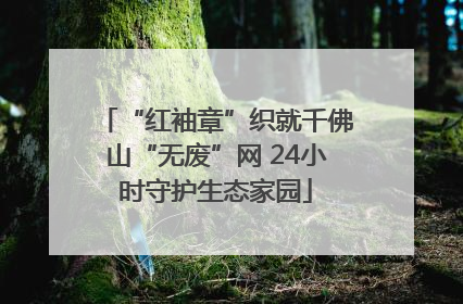 “红袖章”织就千佛山“无废”网 24小时守护生态家园