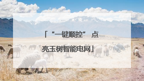 “一键顺控” 点亮玉树智能电网