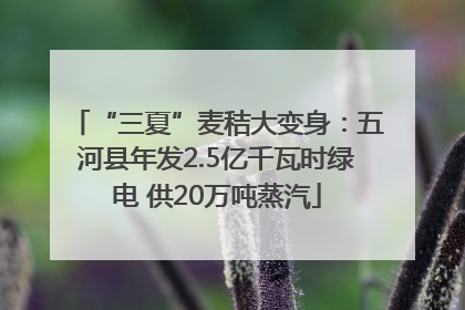 “三夏”麦秸大变身：五河县年发2.5亿千瓦时绿电 供20万吨蒸汽