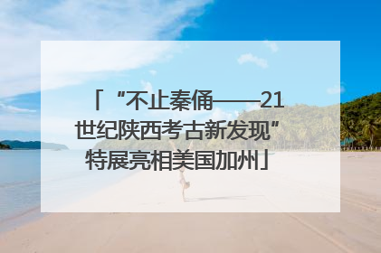 “不止秦俑——21世纪陕西考古新发现”特展亮相美国加州