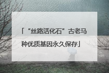 “丝路活化石”古老马种优质基因永久保存