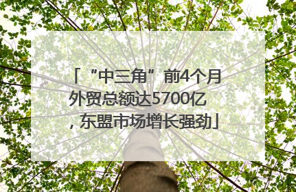 “中三角”前4个月外贸总额达5700亿，东盟市场增长强劲
