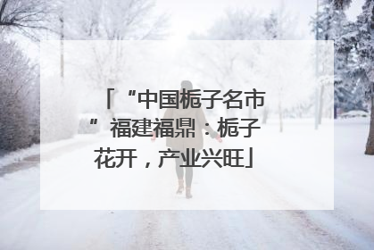 “中国栀子名市”福建福鼎：栀子花开，产业兴旺