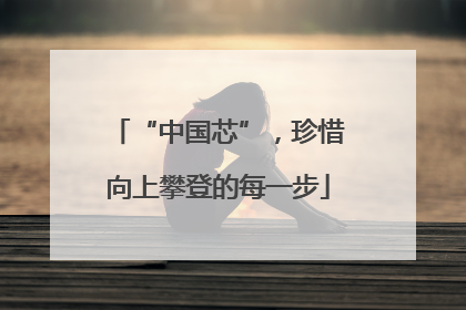 “中国芯”，珍惜向上攀登的每一步