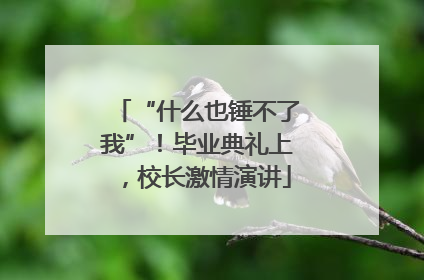 “什么也锤不了我”！毕业典礼上，校长激情演讲
