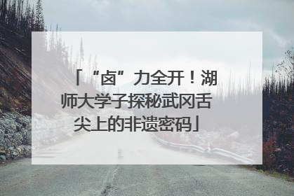 “卤”力全开！湖师大学子探秘武冈舌尖上的非遗密码