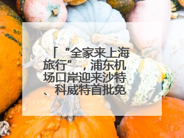 “全家来上海旅行”，浦东机场口岸迎来沙特、科威特首批免签入境旅客