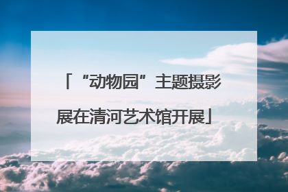“动物园”主题摄影展在清河艺术馆开展