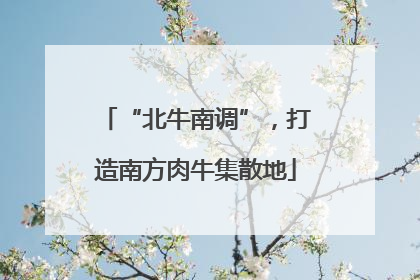 “北牛南调”，打造南方肉牛集散地