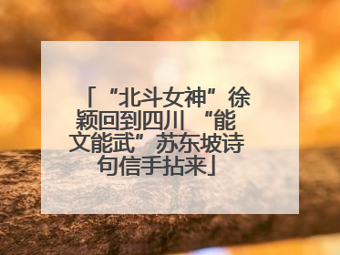 “北斗女神”徐颖回到四川 “能文能武”苏东坡诗句信手拈来