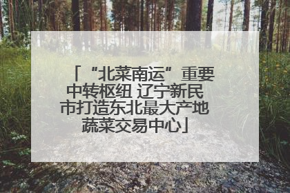 “北菜南运”重要中转枢纽 辽宁新民市打造东北最大产地蔬菜交易中心