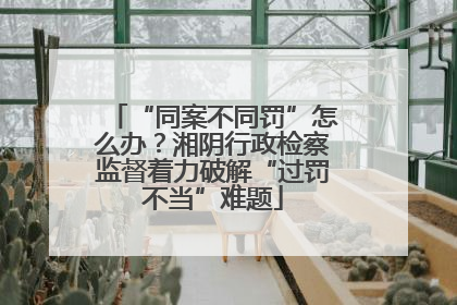 “同案不同罚”怎么办？湘阴行政检察监督着力破解“过罚不当”难题