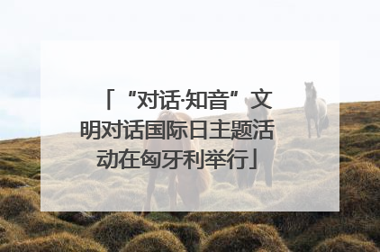 “对话·知音”文明对话国际日主题活动在匈牙利举行
