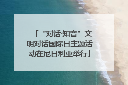 “对话·知音”文明对话国际日主题活动在尼日利亚举行