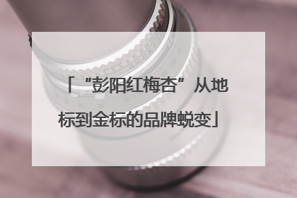 “彭阳红梅杏”从地标到金标的品牌蜕变