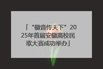 “徽音传天下”2025年首届安徽高校民歌大赛成功举办