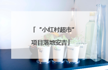 “小红村超市”项目落地安吉