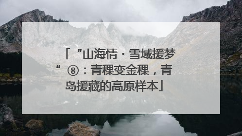 “山海情・雪域援梦”⑧：青稞变金稞，青岛援藏的高原样本