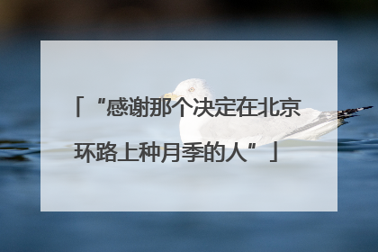 “感谢那个决定在北京环路上种月季的人”