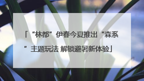 “林都”伊春今夏推出“森系”主题玩法 解锁避暑新体验