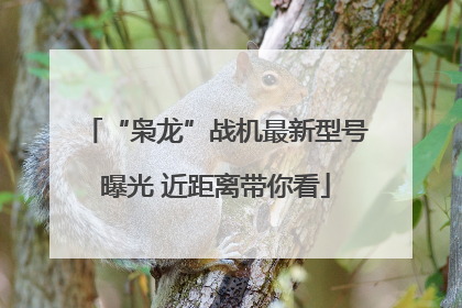 “枭龙”战机最新型号曝光 近距离带你看