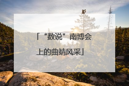 “数说”南博会上的曲靖风采