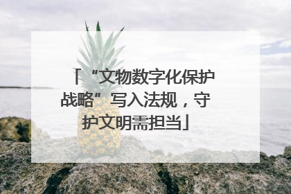“文物数字化保护战略”写入法规，守护文明需担当