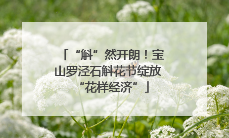 “斛”然开朗！宝山罗泾石斛花节绽放“花样经济”