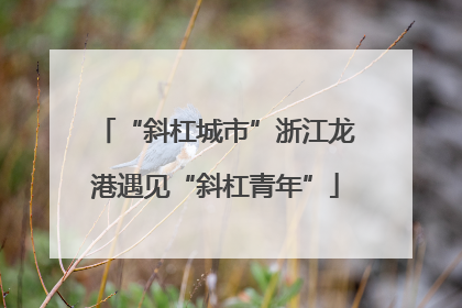 “斜杠城市”浙江龙港遇见“斜杠青年”