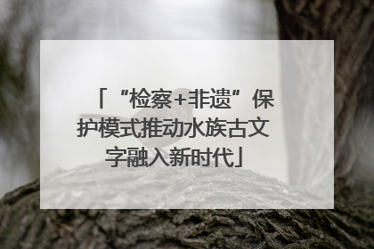 “检察+非遗”保护模式推动水族古文字融入新时代