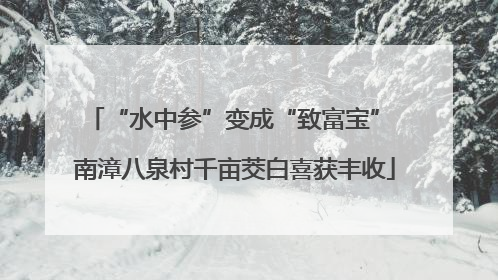 “水中参”变成“致富宝” 南漳八泉村千亩茭白喜获丰收