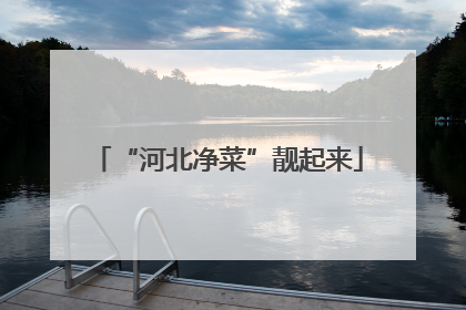 “河北净菜”靓起来