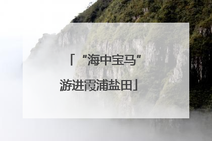 “海中宝马”游进霞浦盐田