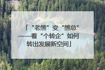 “老熊”变“熊总”——看“个转企”如何转出发展新空间