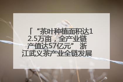 “茶叶种植面积达12.5万亩，全产业链产值达57亿元” 浙江武义茶产业全链发展“加速度”
