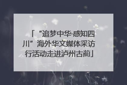 “追梦中华·感知四川”海外华文媒体采访行活动走进泸州古蔺