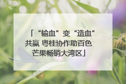 “输血”变“造血”共赢 粤桂协作助百色芒果畅销大湾区