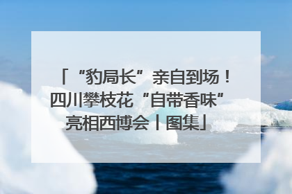 “豹局长”亲自到场！四川攀枝花“自带香味”亮相西博会丨图集