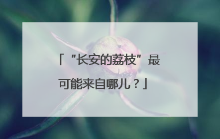 “长安的荔枝”最可能来自哪儿？